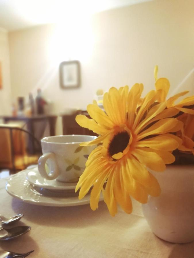 Bed and Breakfast Terre Di Gratia à Camporeale Extérieur photo